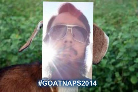 goatnaps2014 by kitty
