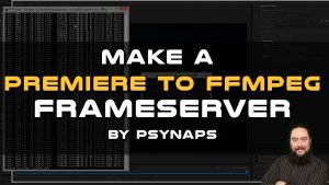 frameserver 